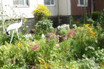 -2006