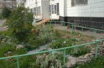 Благоустройство дворовых территорий и подъездов после зимнего периода