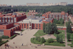    2006 